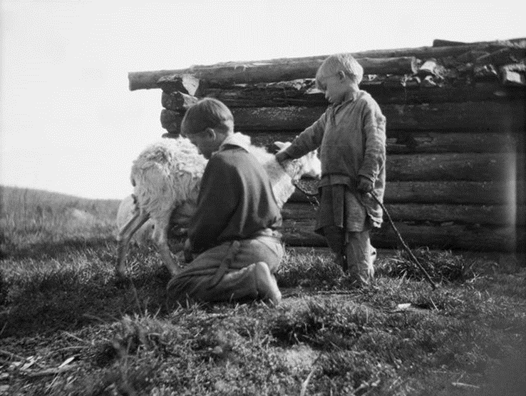 poika_lypsaeae_lammasta_paulaharju.png poika_lypsaeae_lammasta_paulaharju.png